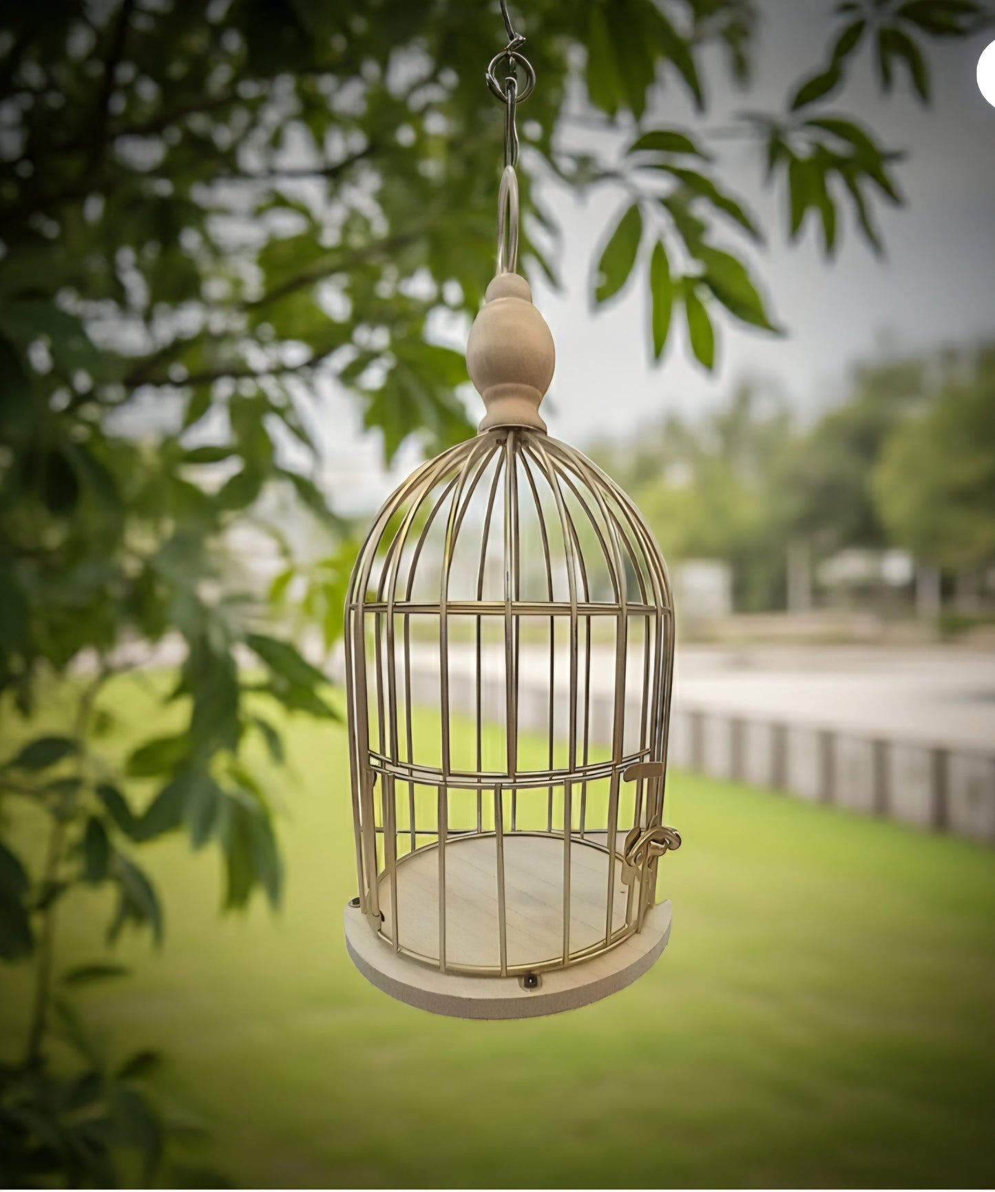 Gabbietta - GrazieGio