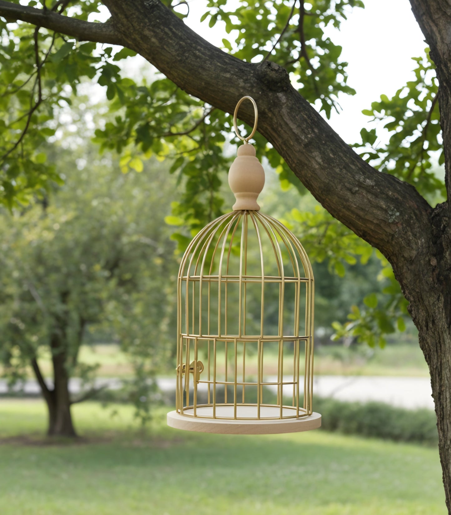 Gabbietta - GrazieGio