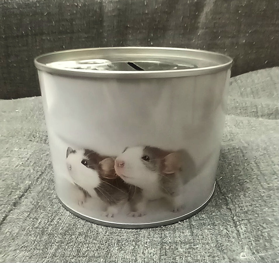 Salvadanaio Rotondo Tonno 10cm - GrazieGio